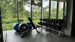 Irwell Hill Residences (D9), Apartment #477570481